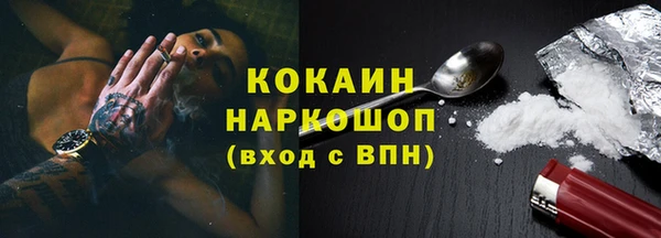 шишки Михайловск