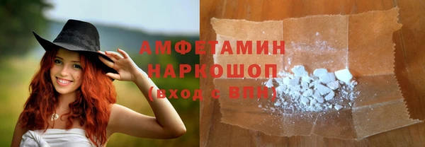 шишки Михайловск