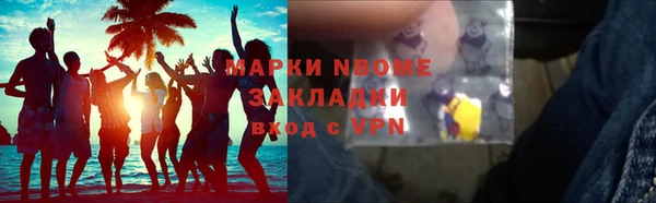 шишки Михайловск