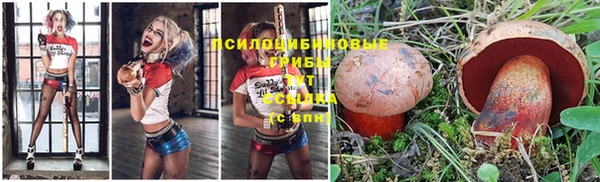 шишки Михайловск