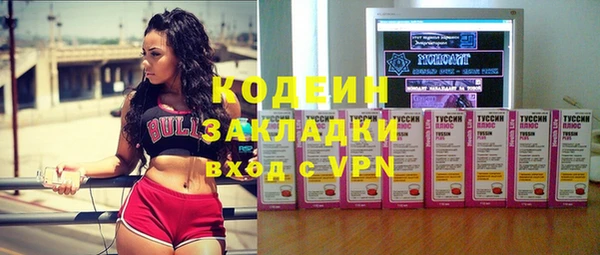 шишки Михайловск