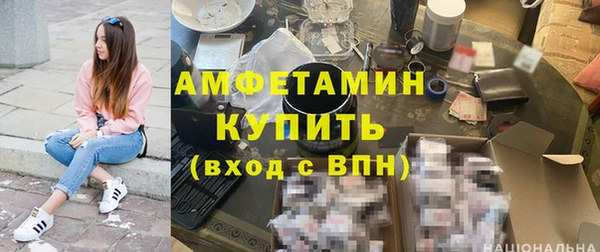 шишки Михайловск