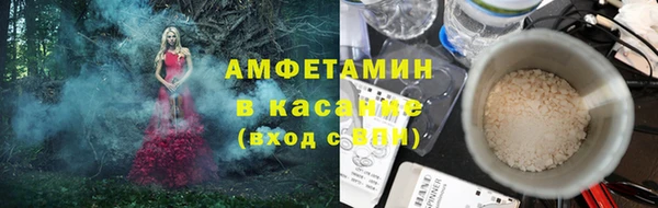 шишки Михайловск