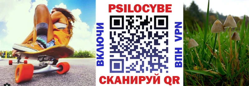 ссылка на мегу вход  Холм  Псилоцибиновые грибы Magic Shrooms 